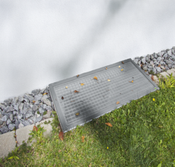 Neher_LI_Lisa_dg Neher_LI_Lisa_dg